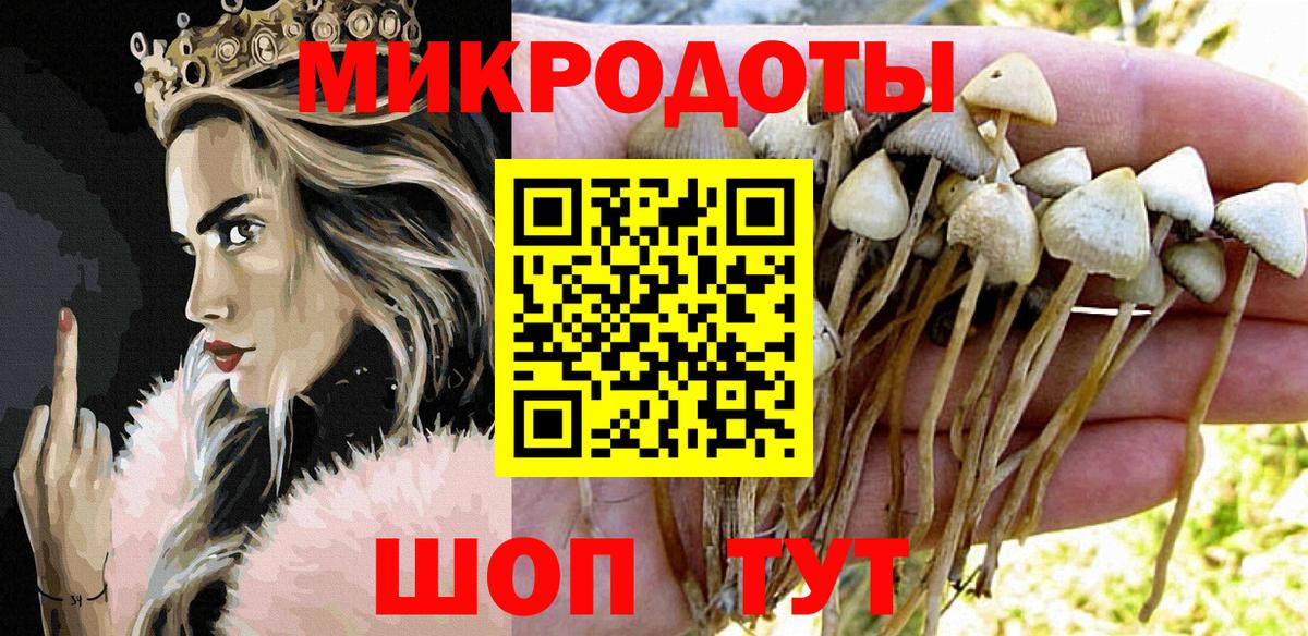 Псилоцибиновые грибы Cubensis Апатиты