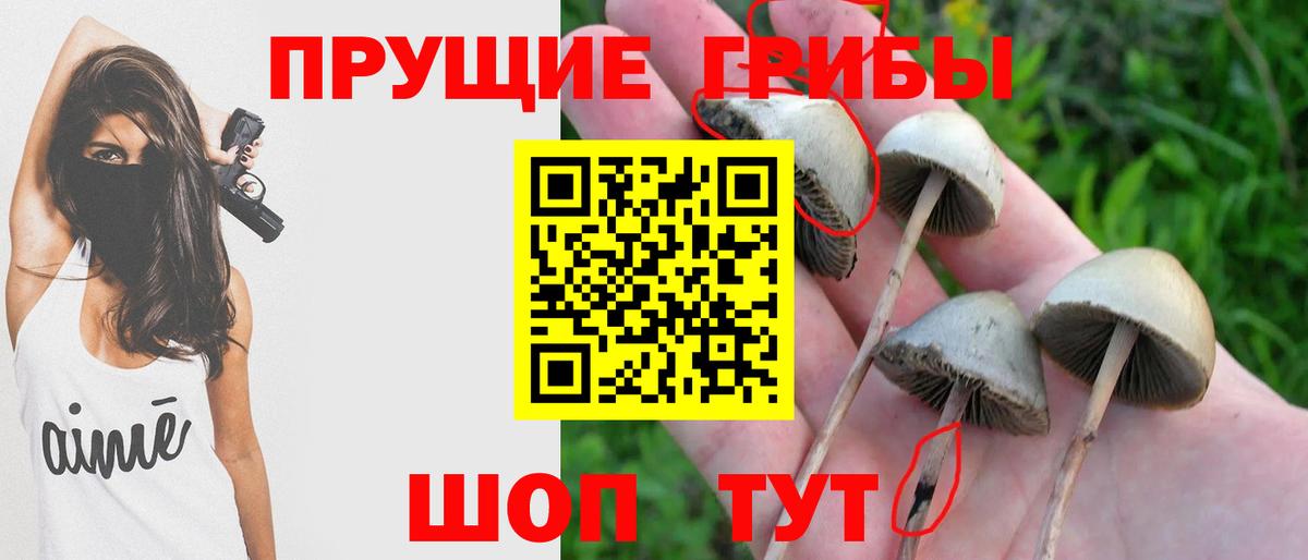 Апатиты  Галлюциногенные грибы мухоморы  Галлюциногенные грибы Cubensis  Вход с VPN 